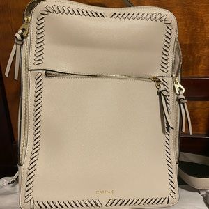 Calpak Laptop Backpack